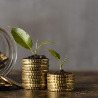 front-view-two-stacks-coins-with-jar-plants